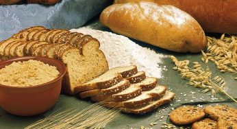 What is Wheat Belly? How Going Gluten-Free Can Be The Easiest Biohack for your belly fat