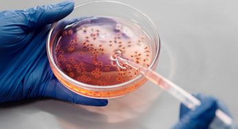 What is CRISPR? Cas9? How this can redefine the future of Super Humans?